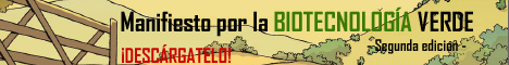 banner ad