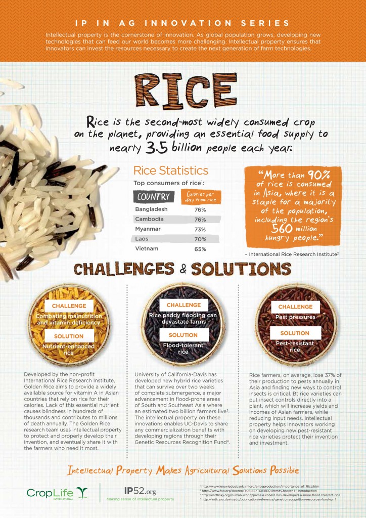 rice_infographic_final_web
