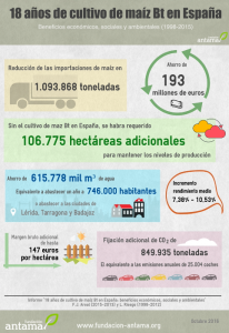 informe-18-an%cc%83os-mg-es-miniatura