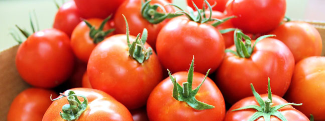 tomate percepcion consumidores