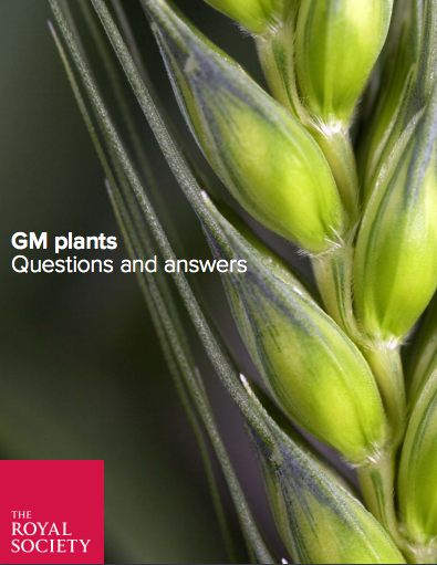 GM plantas questions and andsers