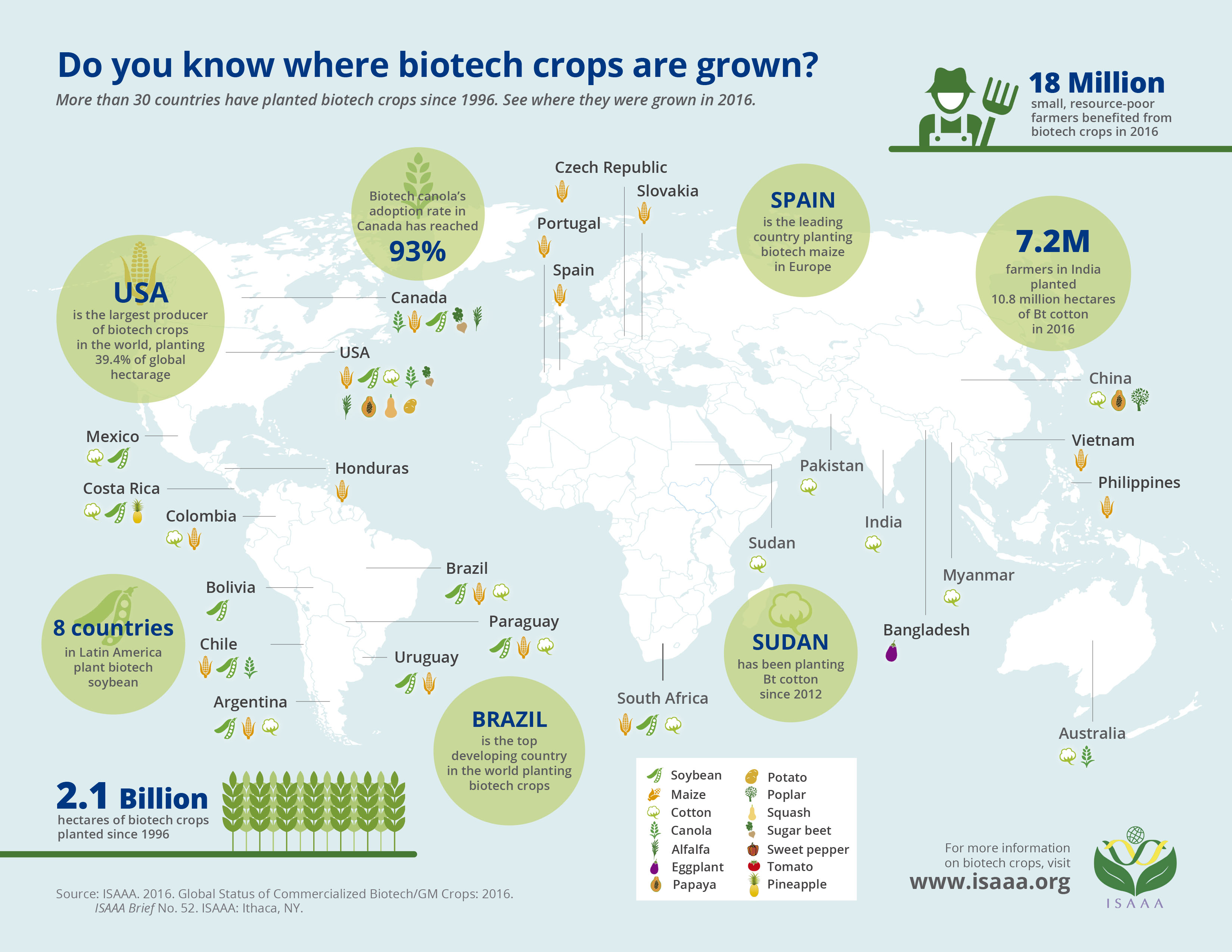 Do you know where biotech crops are grown?